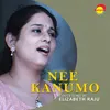 About Nee Kanumo Recreated Version Song