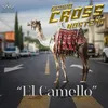 About El Camello Song