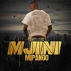 About Mjini Mipango Song