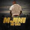 Mjini Mipango