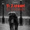 About Tu Zaroori Song