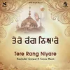 About Tere Rang Niyare Song