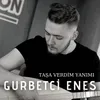 About Taşa Verdim Yanımı Song