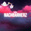 About Nachbarherz Song