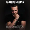 Dostum Dostum