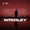 About Going Crazy Song