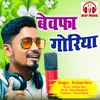 About Bewafa Goriya Chhattisgarhi Song Song