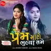 About Prem Maro Bhulya Tame Song