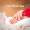 Relaxing Spa Therapy Music 4