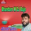 About Bhandare M DJ Baje Song