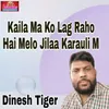 About Kaila Ma Ko Lag Raho Hai Melo Jilaa Karauli M Song