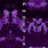 About Phoenix Song