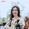 About Pingal Song