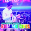 About Bidadari Cinta Song