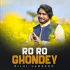 About Ro Ro Ghondey Song