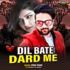 About Dil Bate Dard Me Song