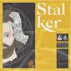 About Stalker Song