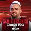 About Shendrit Dielli Song