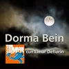 About Dorma Bein Song
