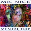 About Mental trip 31 Song