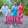 About Kawa na ławę Radio Edit Song