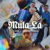 About Mula La Song