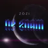About Ne Znam Song
