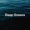 Sea Waves Sounds Relax