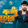 About Bondhu Tor Song