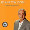 Elveda Dediğin İçin