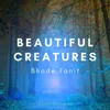 About Beautiful Creatures Song