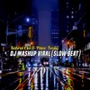 About DJ Mashup Viral (Slow Beat) Song