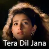 About Tera Dil Jana Song