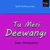 About Tu Meri Deewangi Song