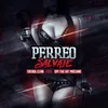 About Perreo Salvaje Song