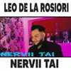 About Nervii Tai Song