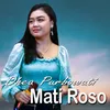 Mati Roso Live Concert