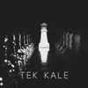About Tek Kale Song
