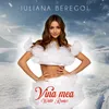 Vina mea Winter Remix