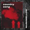 About Country Song Song