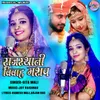 About Rajasthani Vivah Mashup Song