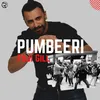 Pumbeeri