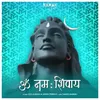 About Om Namah Shivay Song