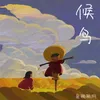 About 候鸟 Song