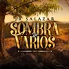 Sombra De Varios