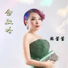 About 念奴吟 Song