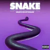 About Snake Song
