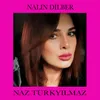 About Nalın Dilber Song