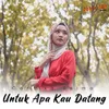 About Untuk Apa Kau Datang Song