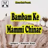 About Bambam Ke Mammi Chinar Song